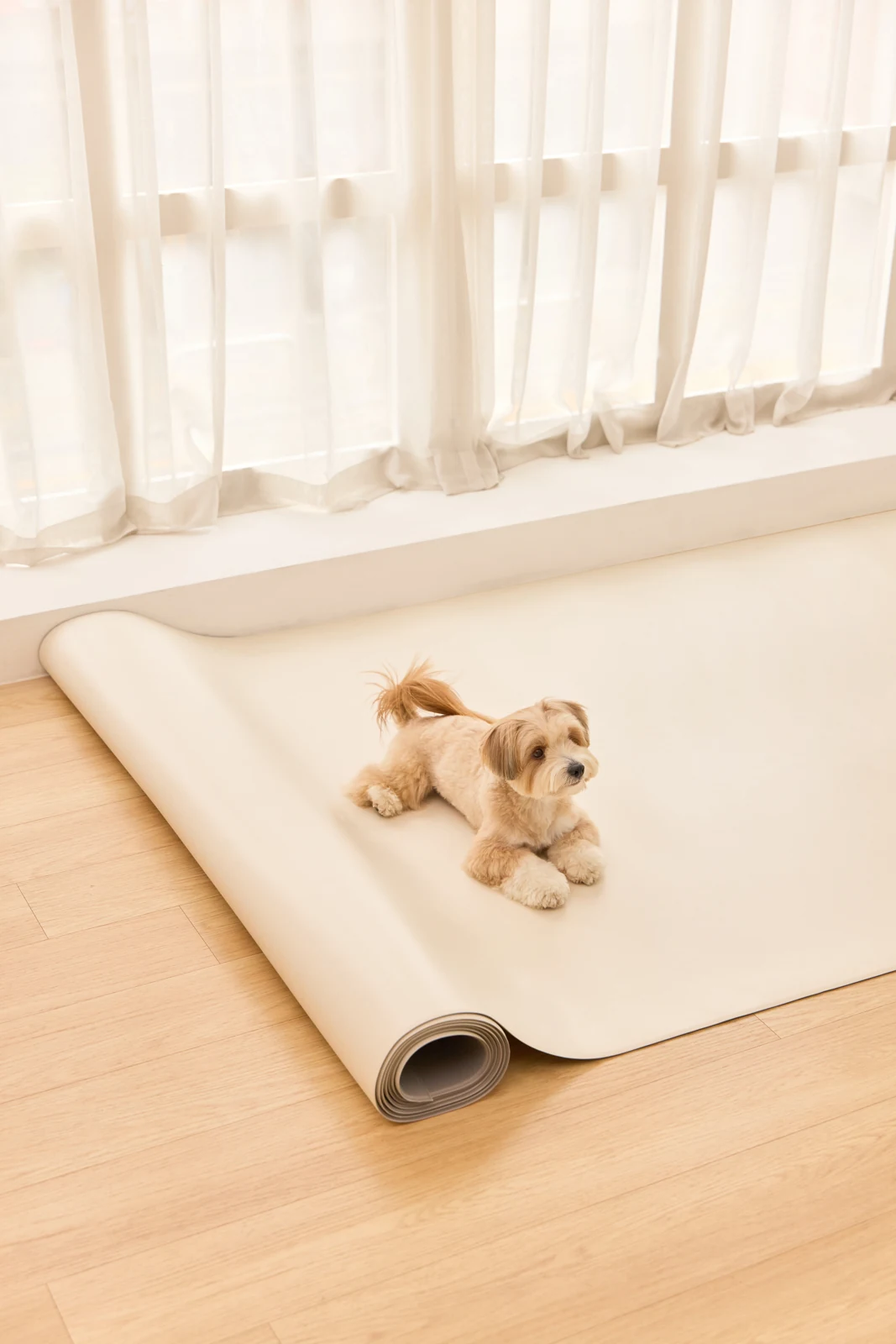 Custom Made Mat กับน้องหมา