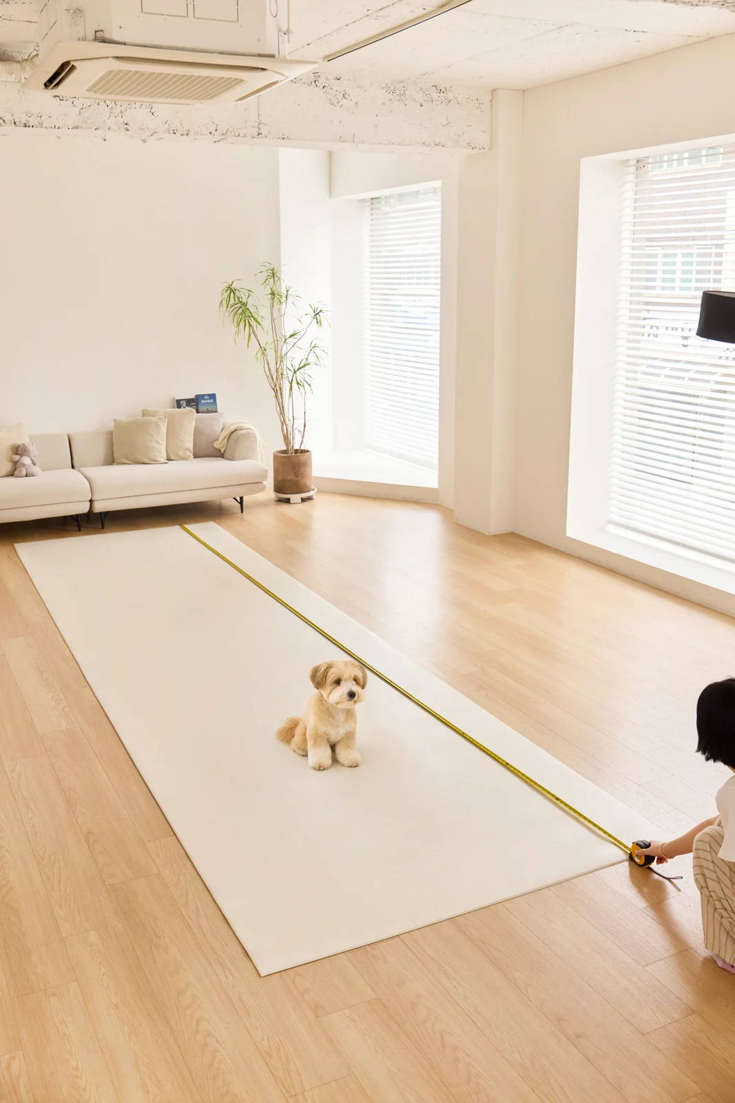 Custom Made Mat ในห้องนั่งเล่น