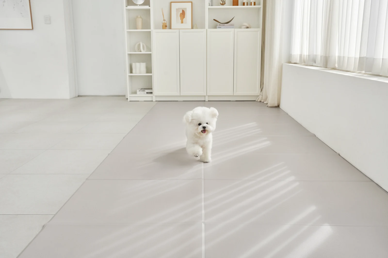 Pet Play Mat แบบพับในมุมพักผ่อน