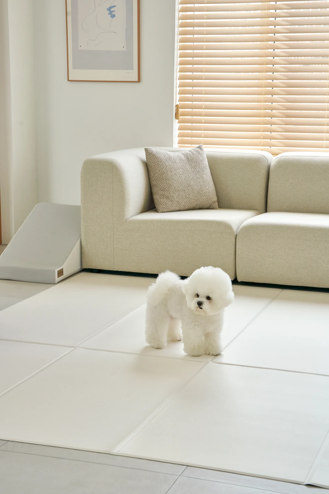 Pet Play Mat แบบพับในห้องนั่งเล่น