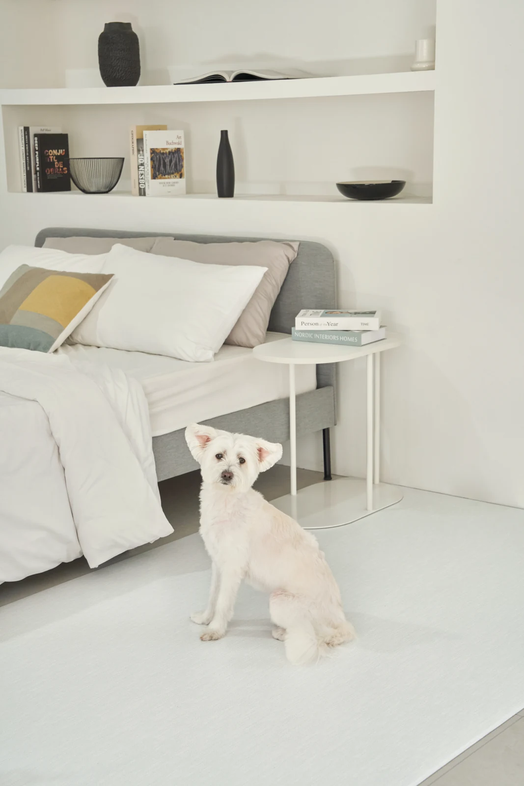 Pet Play Mat Chic Grey กับสุนัข