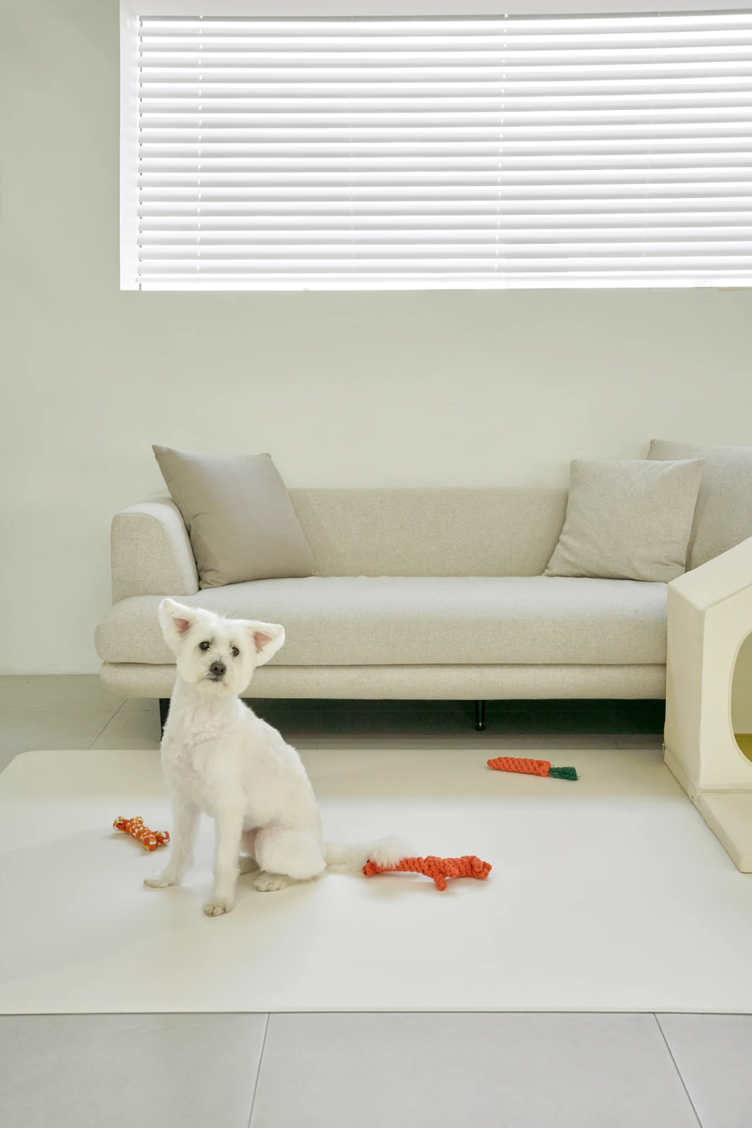 Pet Play Mat Cream ในบ้าน
