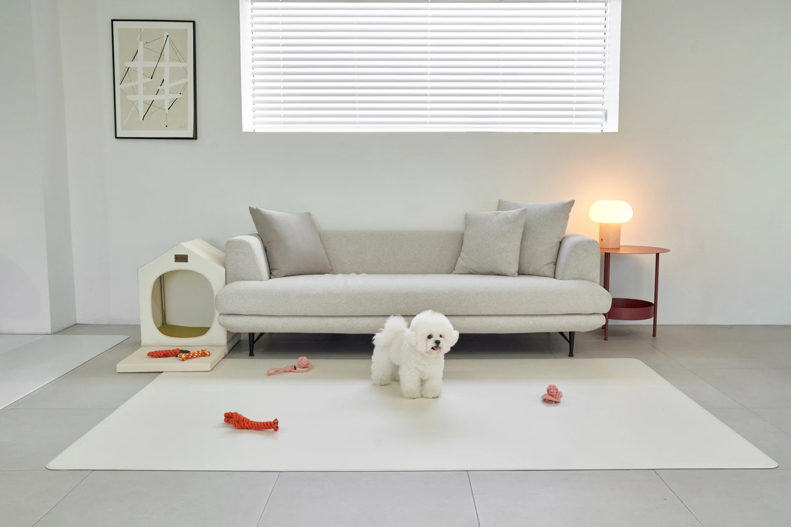 Pet Play Mat ในห้องนั่งเล่น